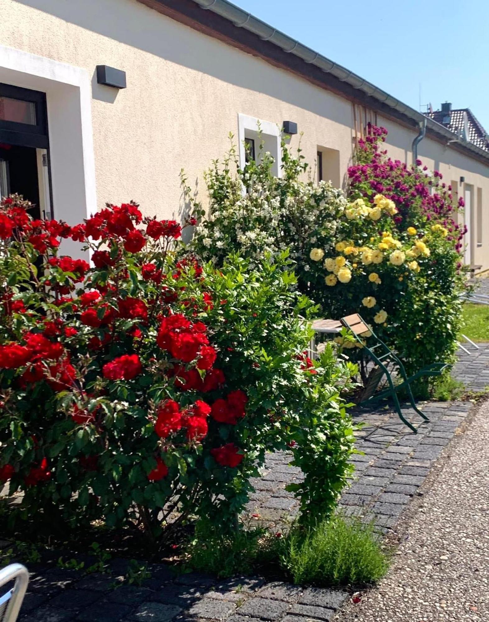 Die Senfbude - Klein Aber Fein - Wunderschoenes Studio-Apartment Mit Terrasse Und Stellplatz Leipzig Extérieur photo